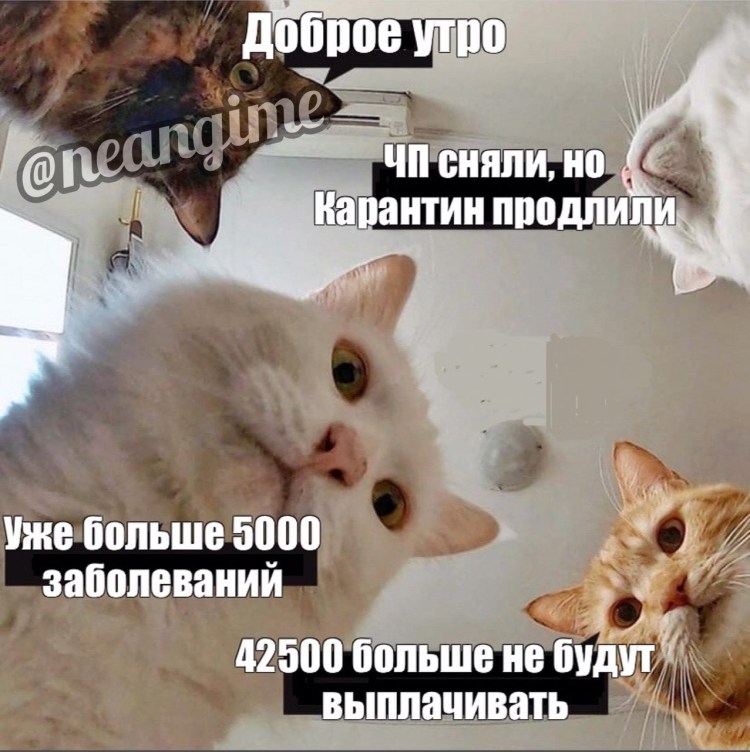 Луис Уильям Уэйн кошмар кошки 1890-е