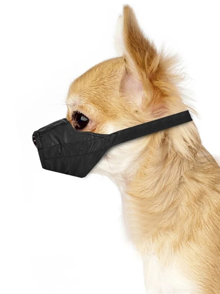 Намордник для шпица