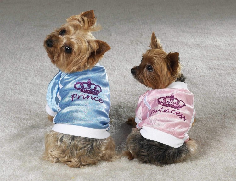 Мягкий намордник Ferplast Muzzle net small с сеткой для собак