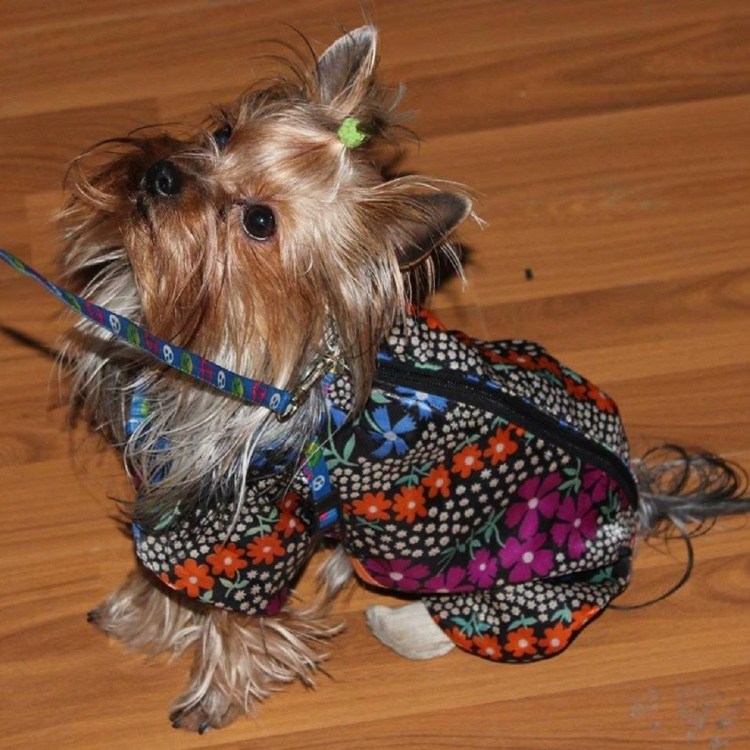 Намордник маска Майло