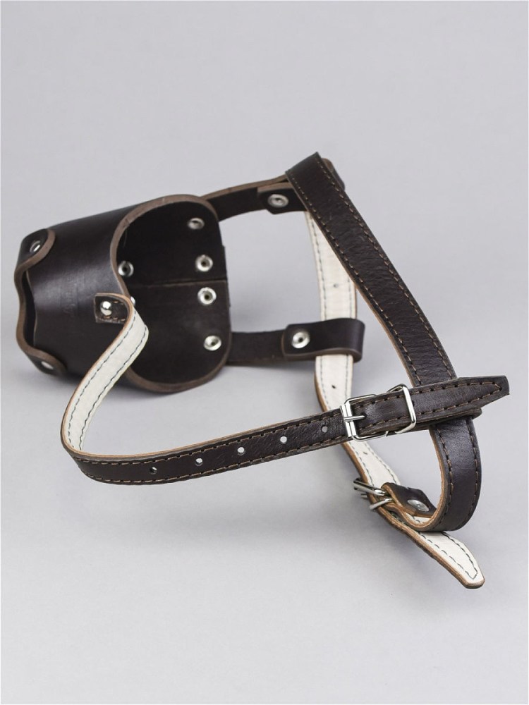 Намордник для шпица