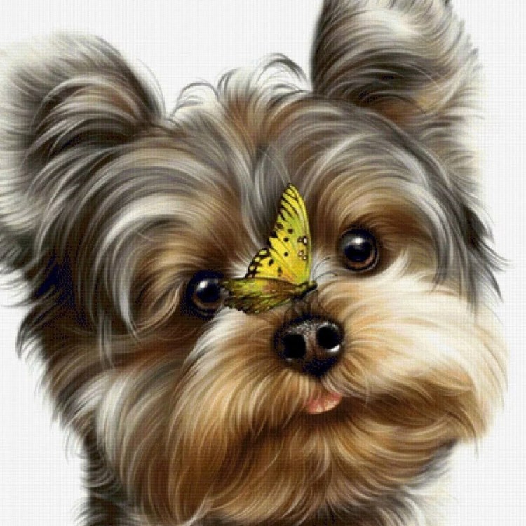 Йертеркшерийский терьер