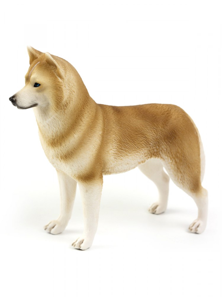 Болванка собака