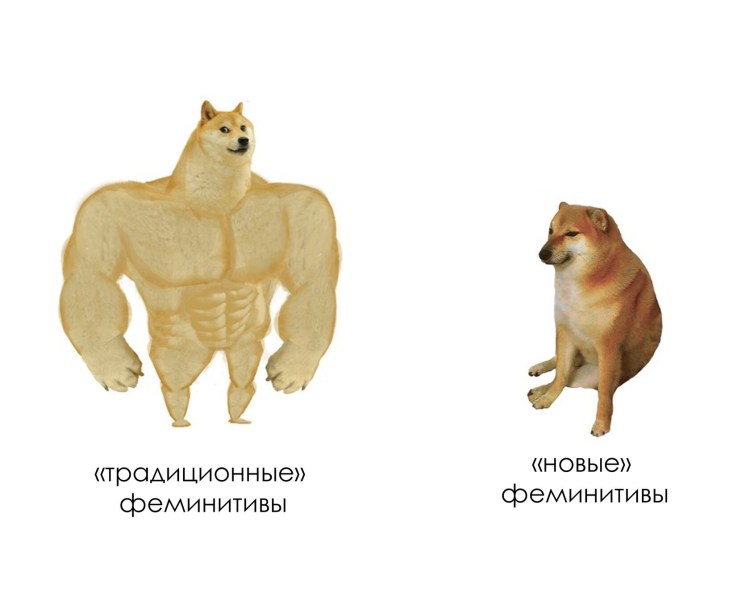 Сильный пес слабый пес Мем