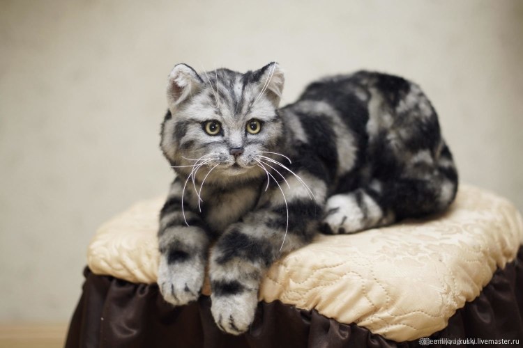 Мраморный табби