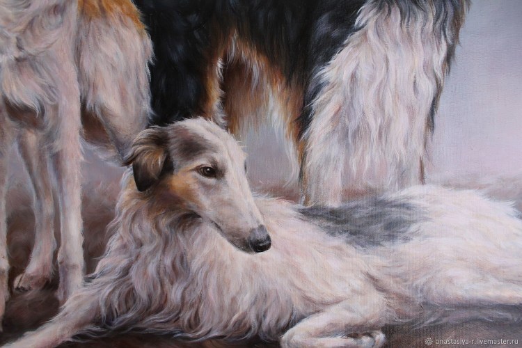 Вышеславцев псовая борзая