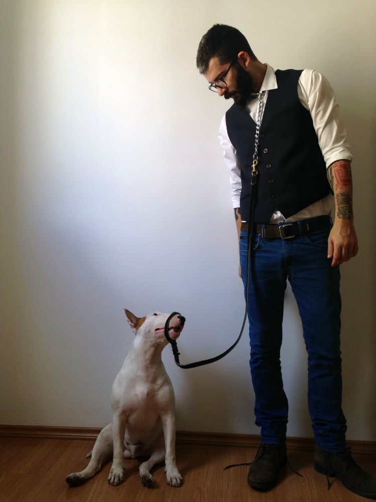 Мини стаффордширский терьер