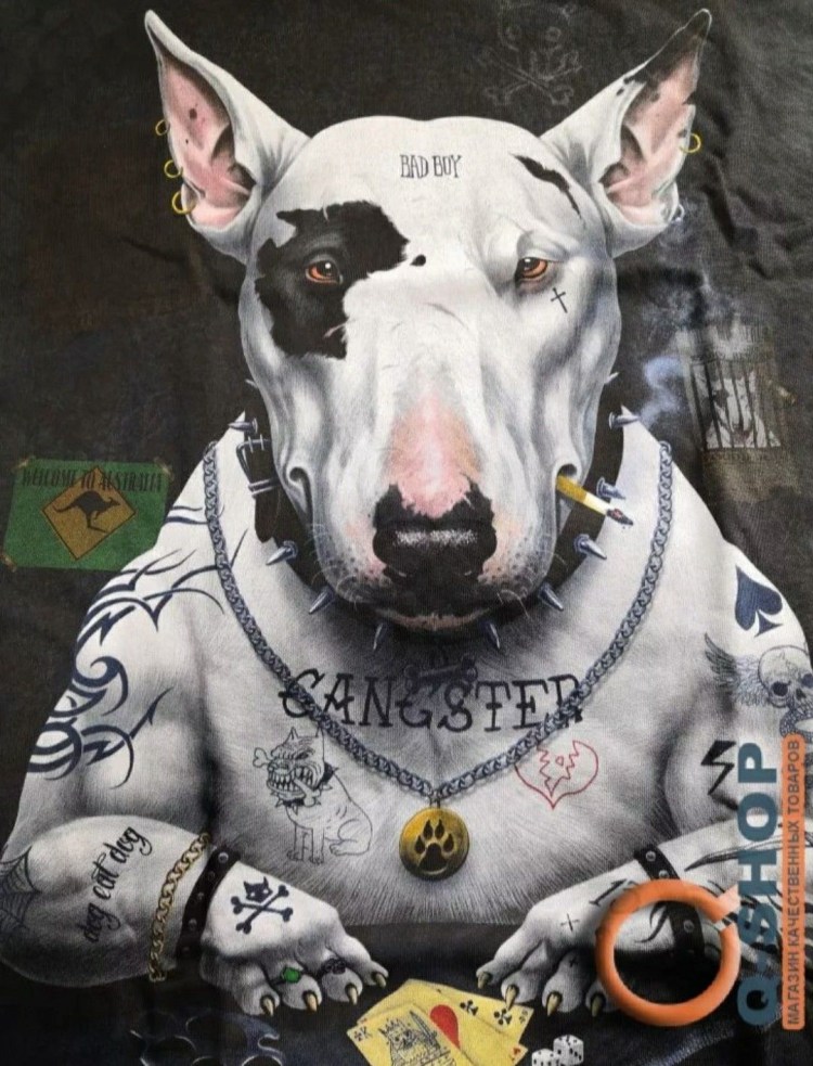 Кане Корсо большой