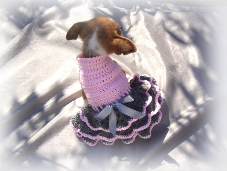 Вязаная одежда для йорков