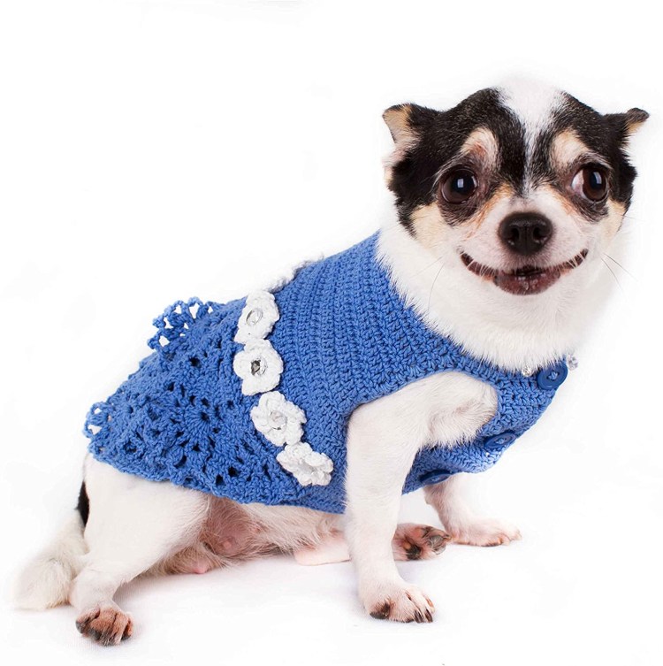 Вязаный костюм для собаки