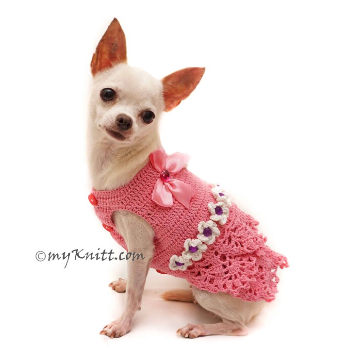 Вязаная одежда для собак чихуахуа