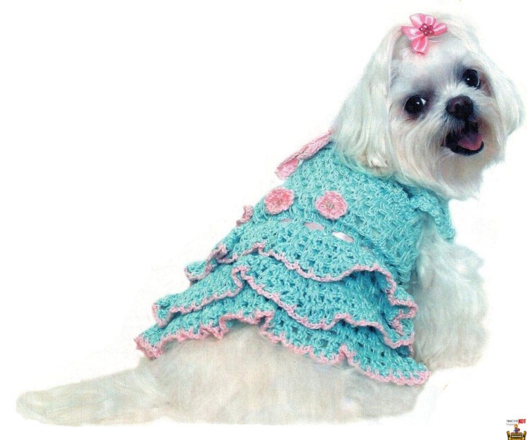 Вязаные платья для собак
