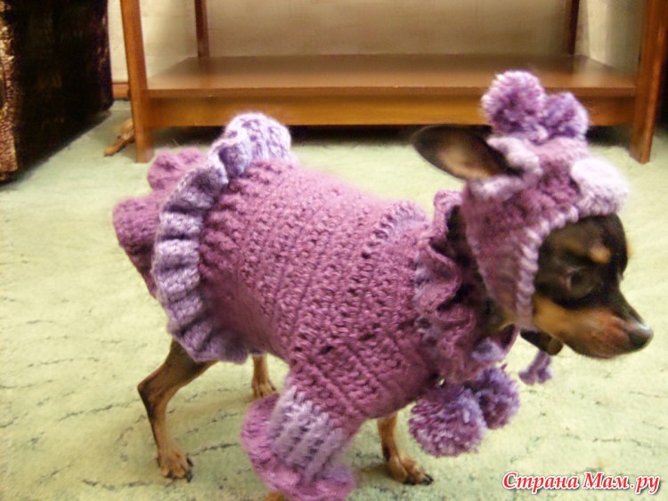 Вязаная попонка для Джек Рассела