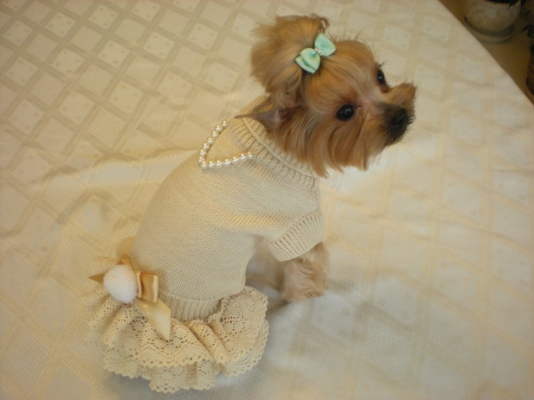 Платье для той терьера