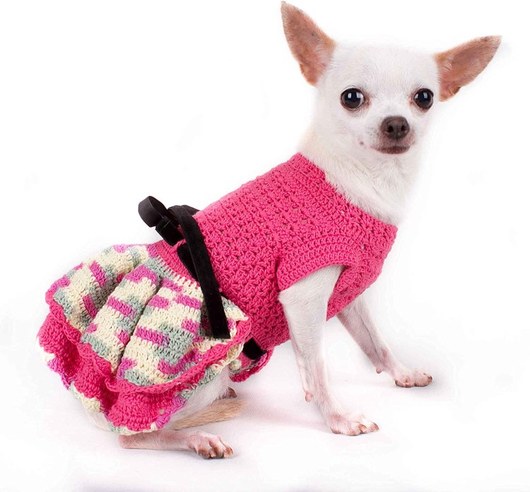 Вязаная одежда для собак