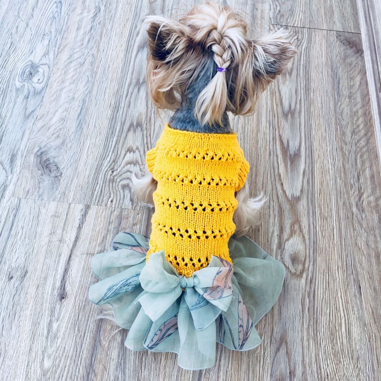 Одежда для собак мелких пород вязаная