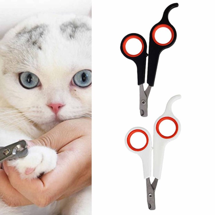 Подстричь когти котенку