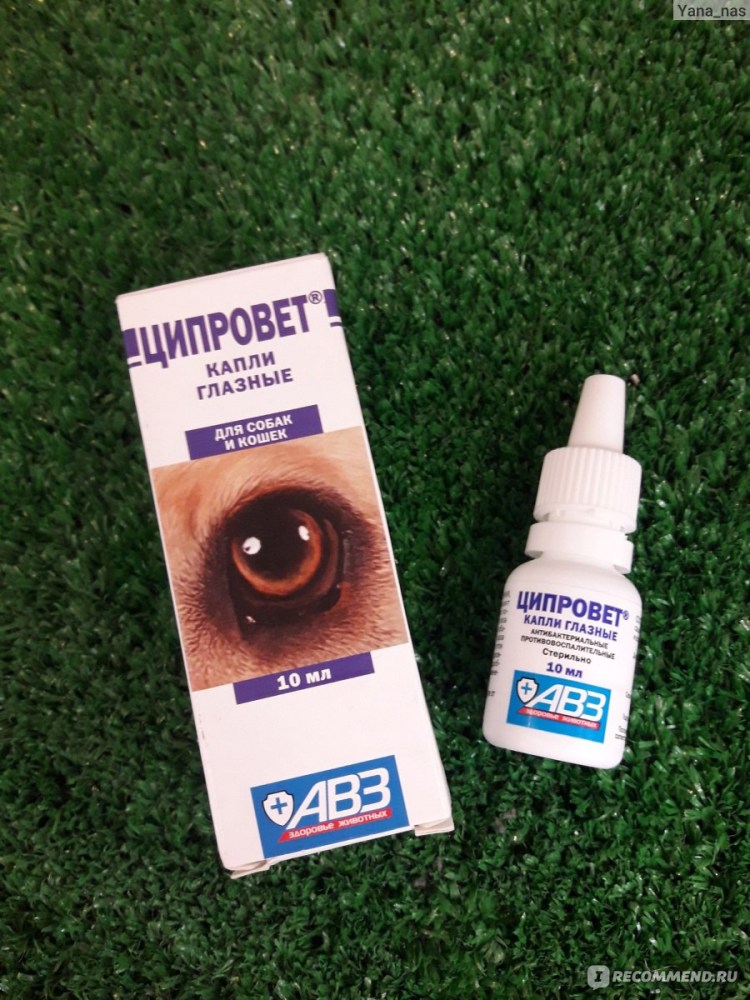 Капли от конъюнктивита для детей