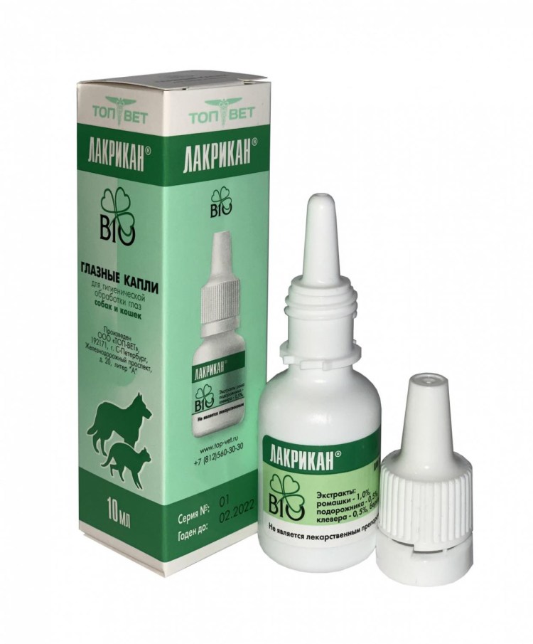 Капли для глаз для собаки гноятся глаза