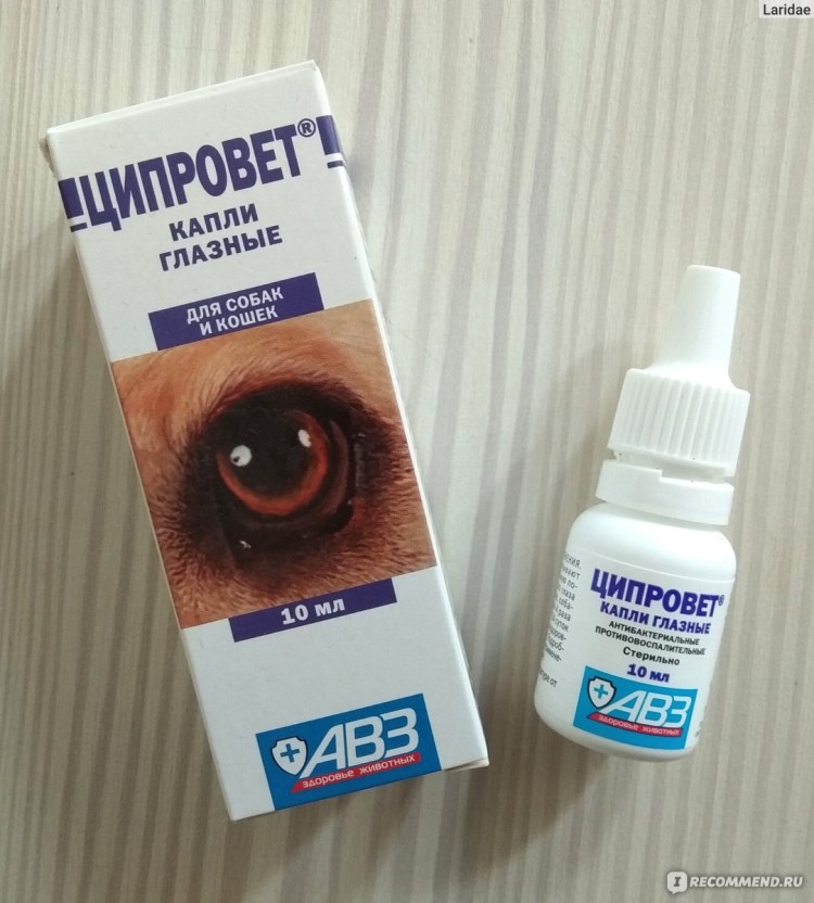 Бриллиантовые глаза, капли глазные, 10 мл