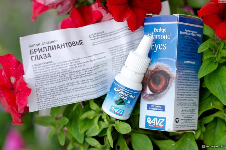 Капли глазные для кошек от коньюктивита