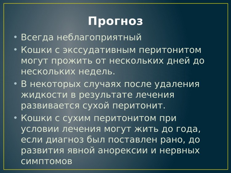Вирусный кошачий перитонит