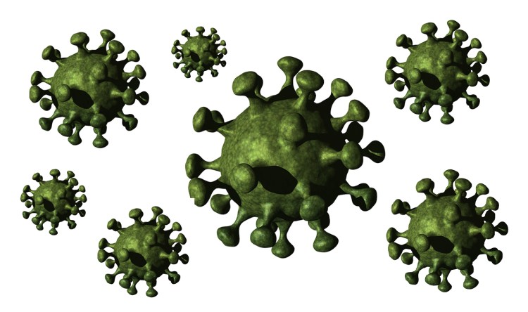 Болезни британского кота