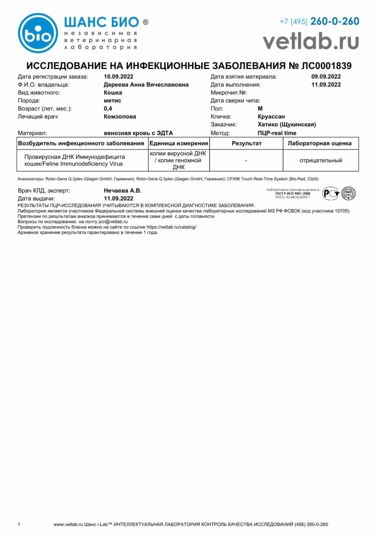 Инфекционный перитонит кошек