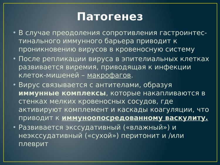 Рентгеновский снимок кота