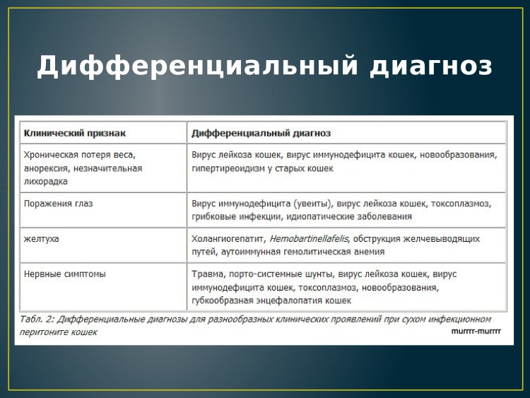 Кошачий инфекционный энтерит