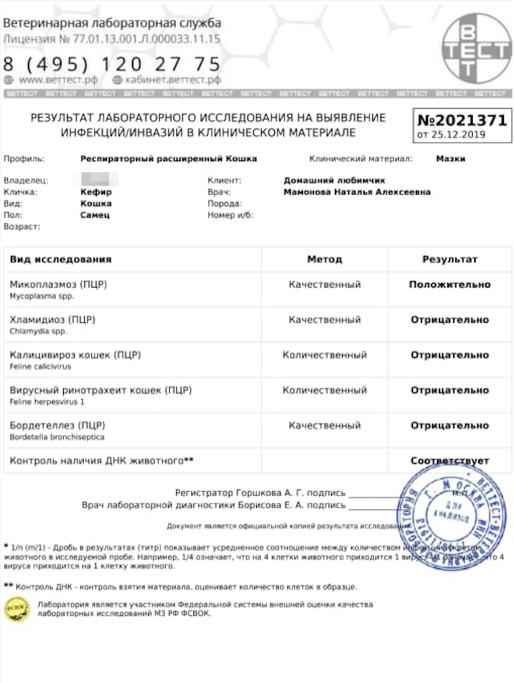 Пуревакс вакцина для кошек схема вакцинации