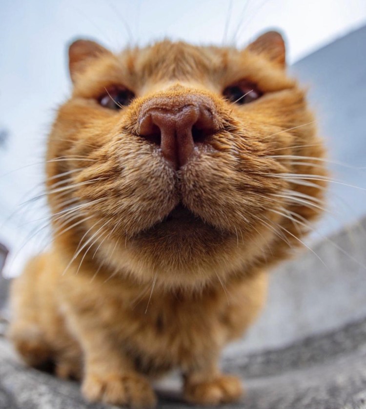 Смешные картинки