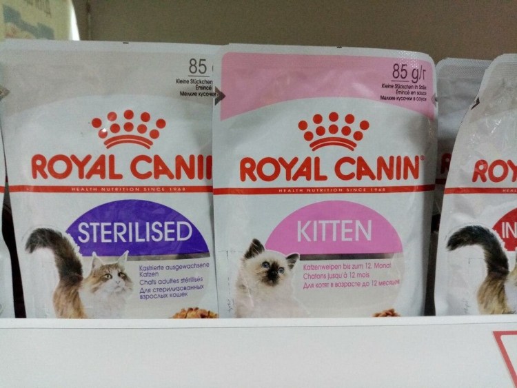 Котенок в каше