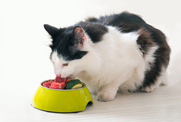 Каша гречневая для собак Четвероногий Гурман 400 г пакет с морковью