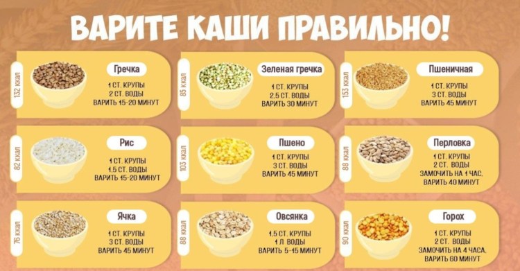 Опасные корма для кошек