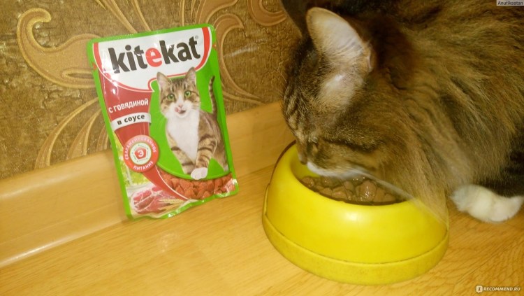 Русские корма для кошек и котов