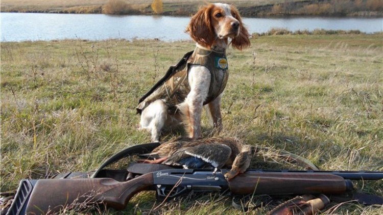 С открытием охотничьего сезона