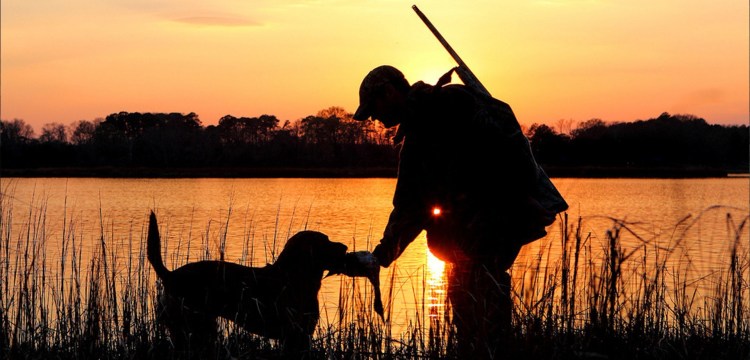 Охотник на закате с собакой