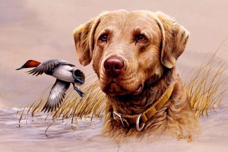 Джим Киллен художник