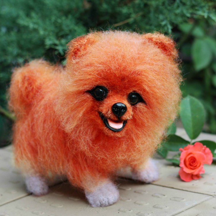 Карликовый шпиц флаффи