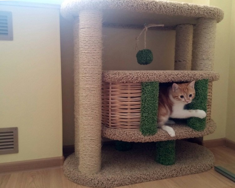 Когтеточка с домиком
