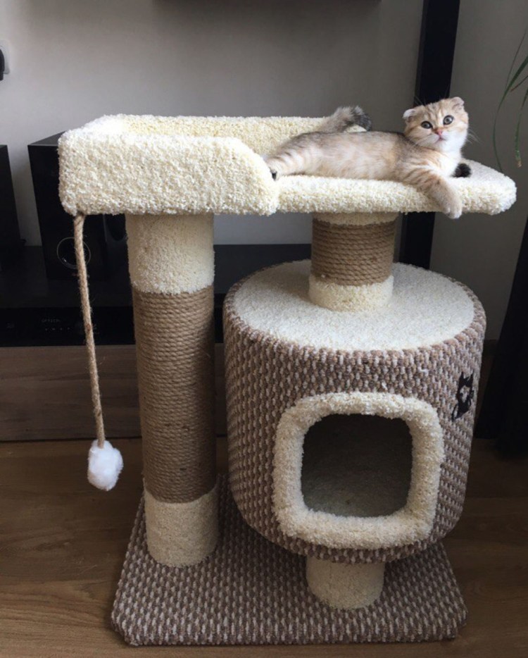 Размеры кошачьего домика с когтеточкой