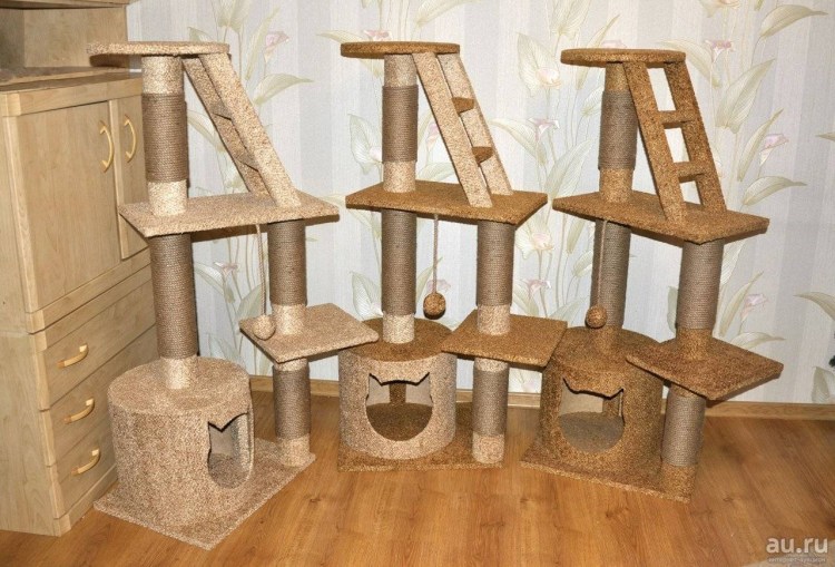 Кошка в кошачьем домике