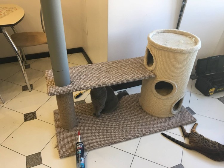 Огромные домики для кошек