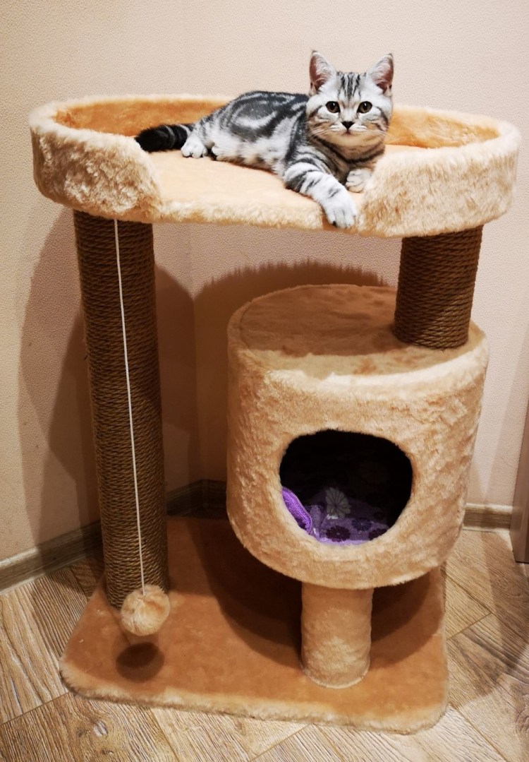 Дом для кошки