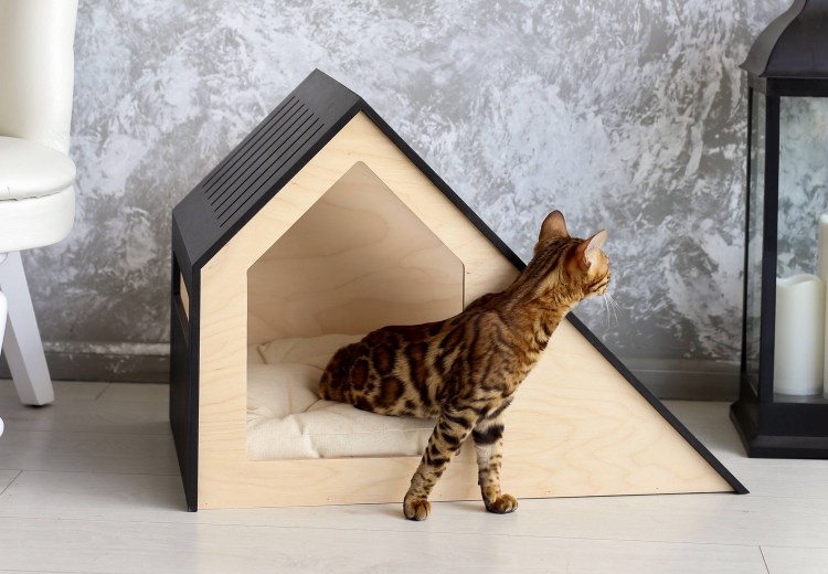 Домики лазелки для кошек
