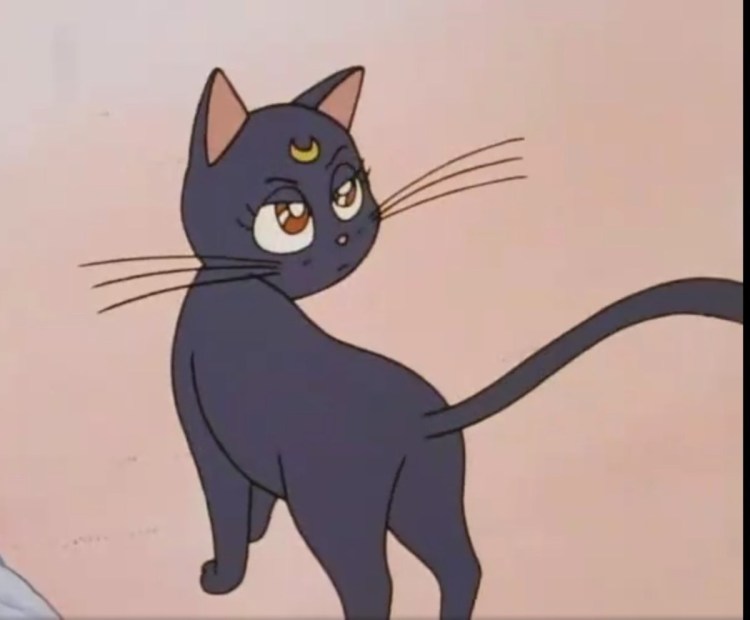 Сейлормун кот Луна