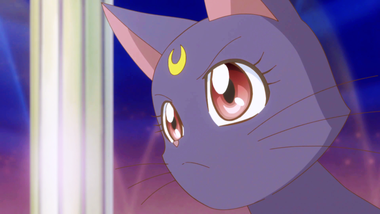 Сейлормун кошка Луна