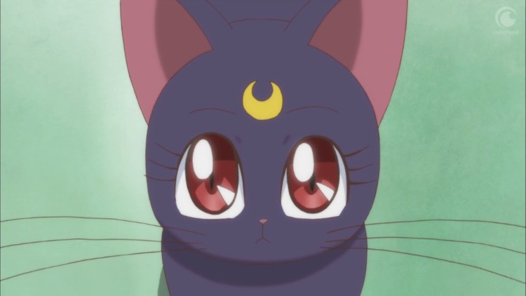 Аниме сейлормун Луна кошка