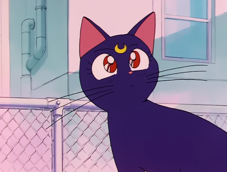 Сейлормун кошка Луна